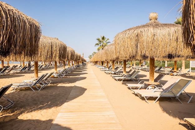 Sombrillas de paja y tumbonas en una playa de Maldivas