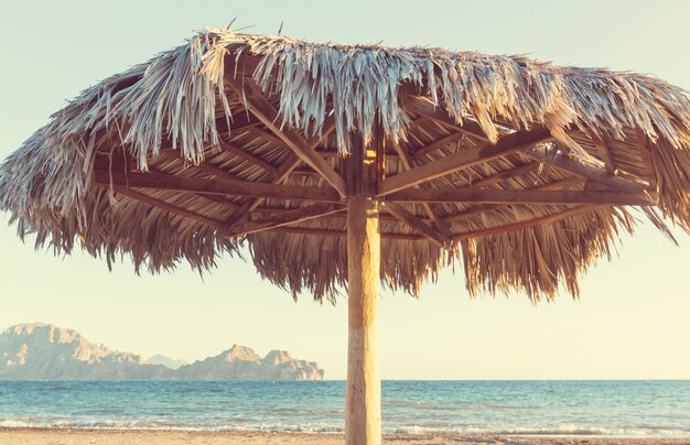 Sombrillas en la playa del mar