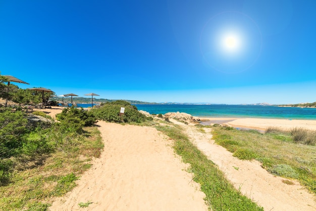 Sombrillas de playa en un resort en Ea Bianca en Costa Smeralda Cerdeña