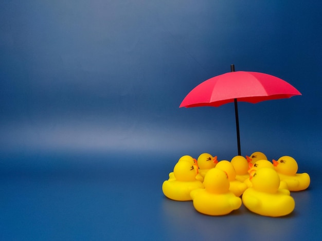 Sombrillas rojas y patos amarillos sobre un fondo azul El concepto de cobertura de seguro