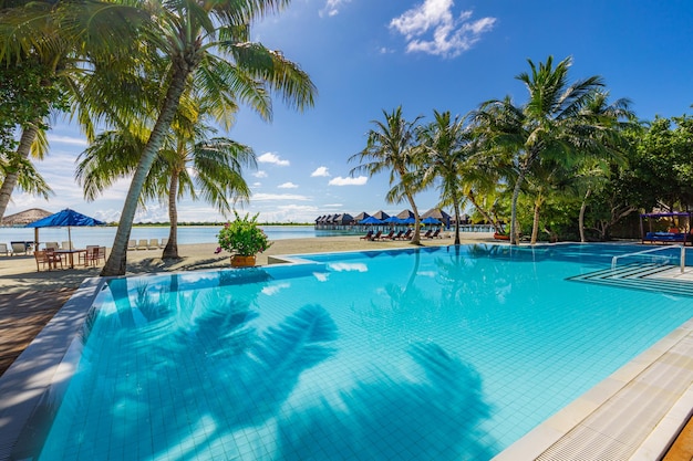Sombrillas soleadas con palmeras y cielo azul, horizonte marino. Isla de verano relajarse junto a la piscina