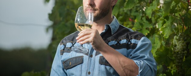 Sommelier recortado agricultor beber vino aplausos viñador bebiendo viña propietario viticultor profesional en granja de uva hombre con copa de vino enólogo con copa de vino