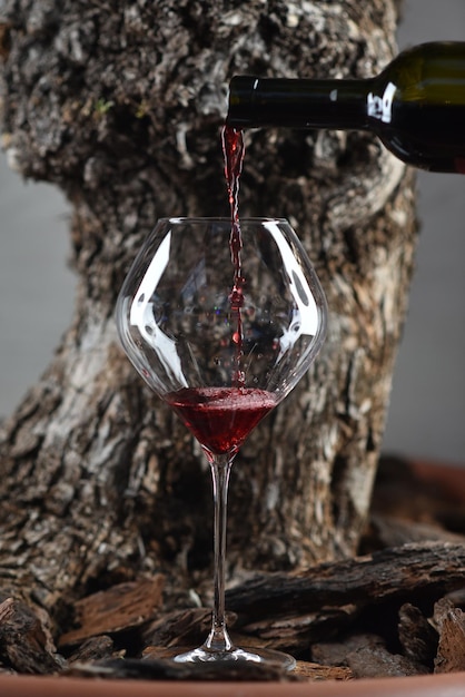 Sommelier vierte vino tinto en un vaso grande contra el fondo de la corteza de los árboles