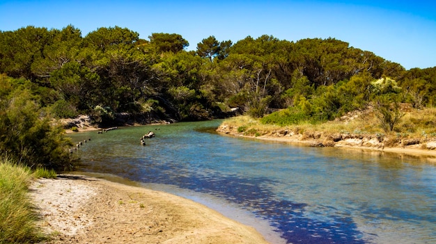 Sommer auf der Insel Menorca, Spanien