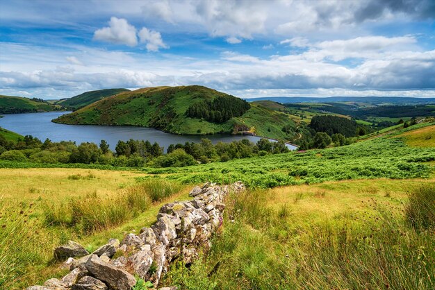 Sommer bei Llyn Clywedog