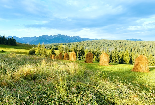 Sommer-Bergdorf-Rand mit Heuhaufen und Tatra-Gebirge dahinter (Polen)