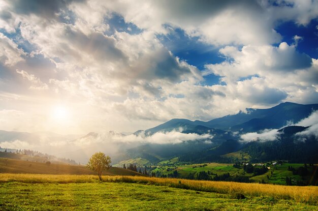 Sommer Berglandschaft