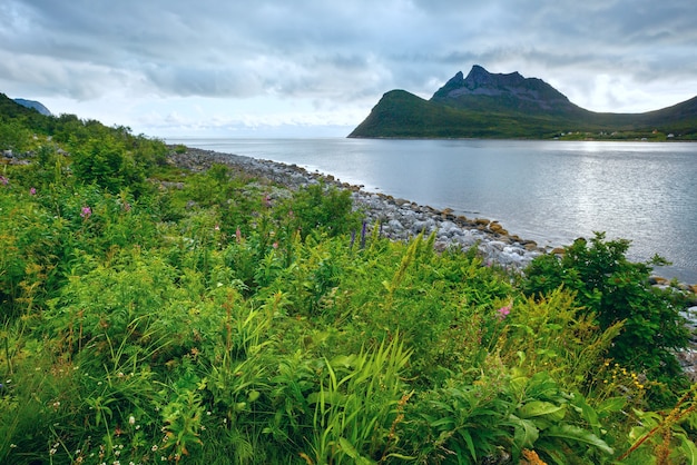 Sommer bewölkter Abend Ersfjorden Landschaft (Norwegen, Lofoten).