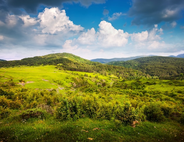 Sommer Blick auf die Pyrenäen. Aragonien