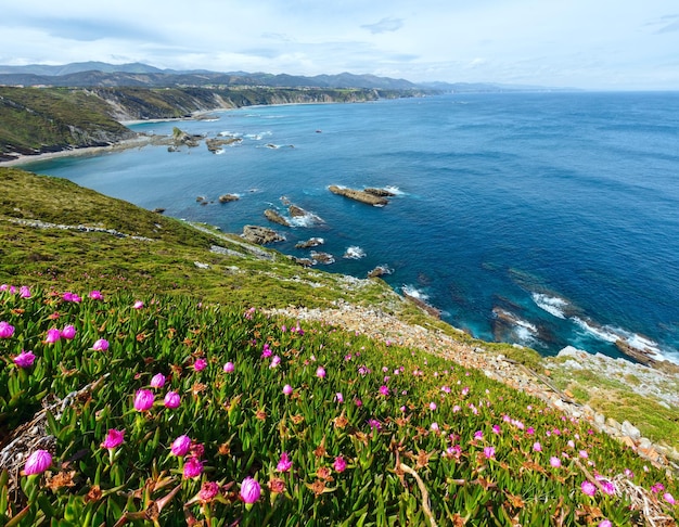 Sommer blühende Cape Vidio Landschaft (asturische Küste, Cudillero, Spanien).