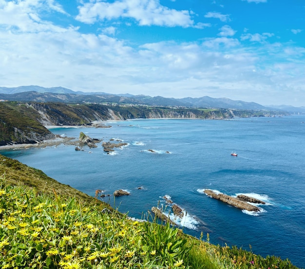 Sommer blühende Cape Vidio Landschaft Küste Asturiens Cudillero Spanien