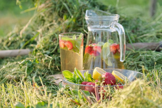 Sommer erfrischende natürliche hausgemachte Getränke.