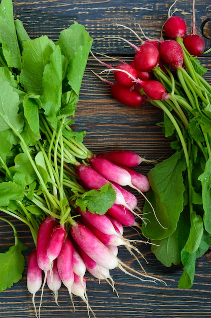 Sommer geernteter roter Rettich. Anbau von Bio-Gemüse. Große Menge rohen frischen saftigen Gartenrettich auf dunklen Brettern bereit zu essen.