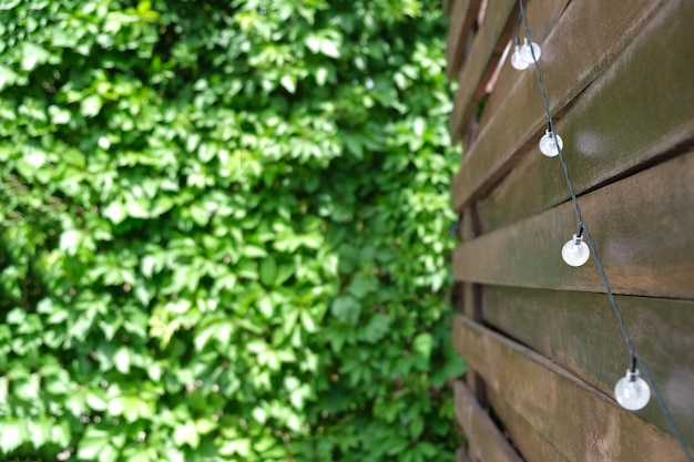 Foto sommer hintergrund. holzterrasse mit kletterpflanzen. und solarbetriebene glühbirnen.