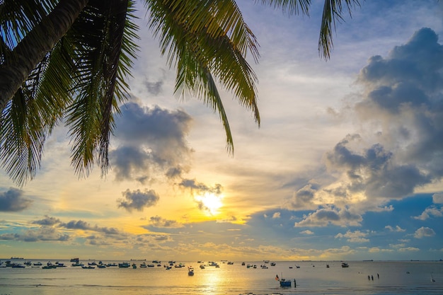 Sommer Hintergrund mit Kokospalmen und Sonnenuntergang warmen Ton Schöne Kokospalme im Hintergrund sonniger Tag Reisen Sie tropischen Strandurlaub im Sommer