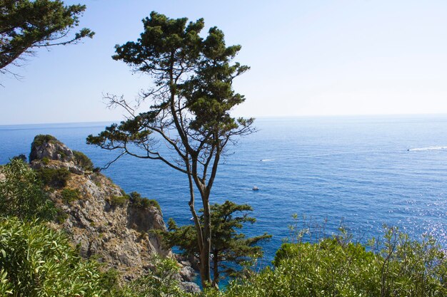 Sommer Hintergrund. Nahaufnahme auf Meer und Küste am sonnigen Tag. Korfu. Griechenland.