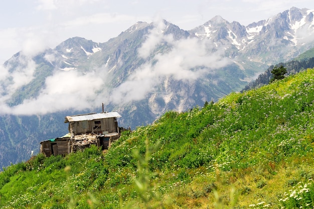 Sommer Hochplateau Hochland mit Artvin, Türkei