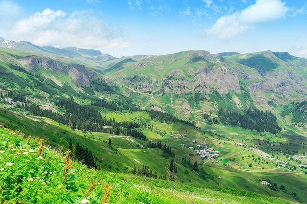 Sommer Hochplateau Hochland mit Artvin, Türkei