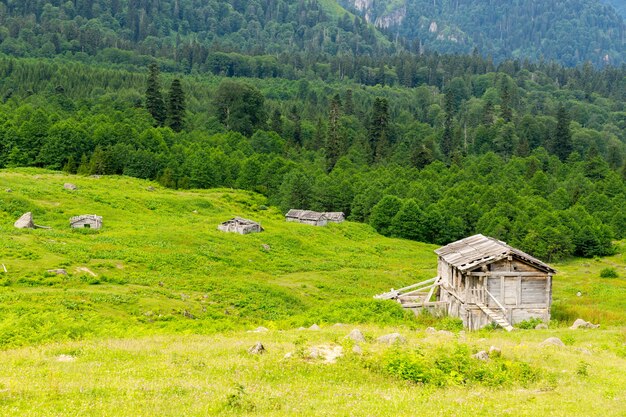 Sommer Hochplateau Hochland mit Gorgit, Artvin, Türkei