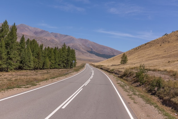 Foto sommer im altai russland, straße zum altai-gebirge