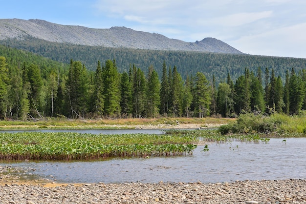 Sommer im nördlichen Ural