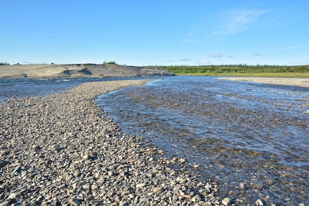 Sommer im Polarural der Fluss Sob