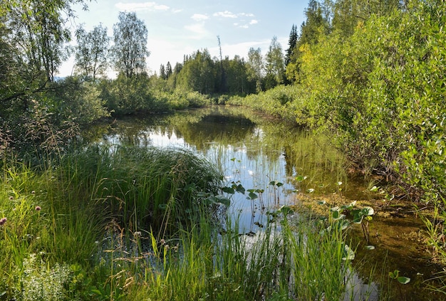 Sommer im Yugyd Va Nationalpark