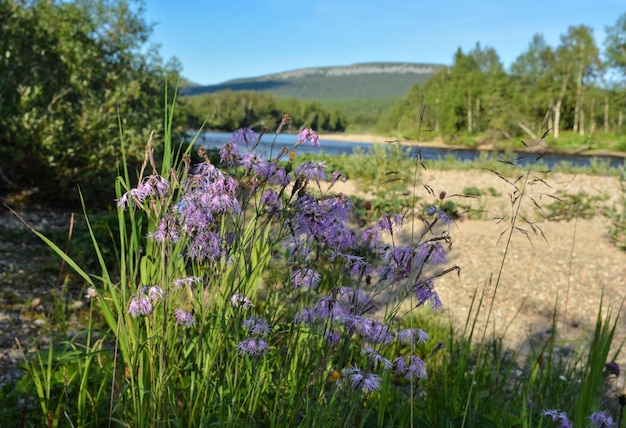 Sommer im Yugyd Va Nationalpark