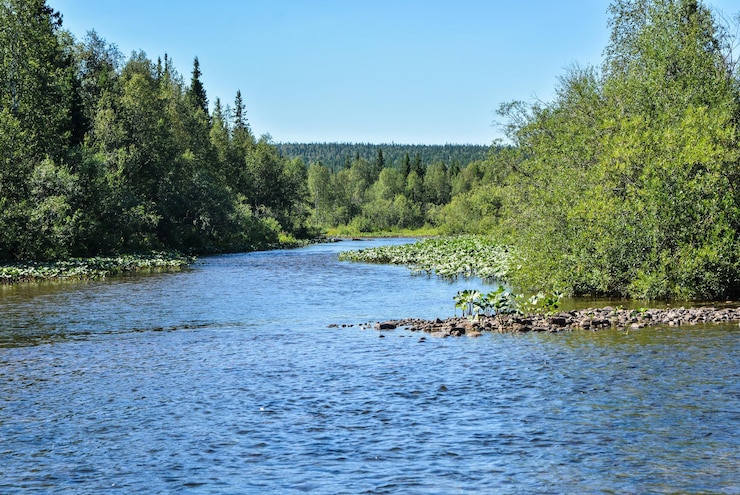 Foto sommer im yugyd va nationalpark