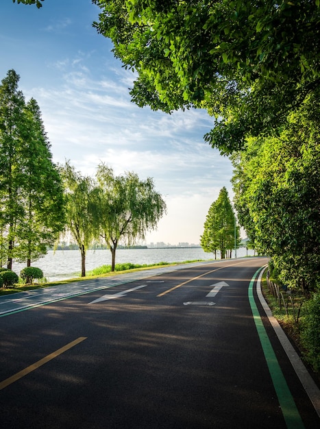 Sommer-Landstraße mit Bäumen neben Konzept