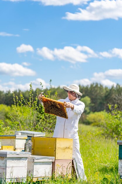 Sommer leckerer Honig in Bienenstöcken. Bienenrahmen voller Honig, die in den Händen halten.