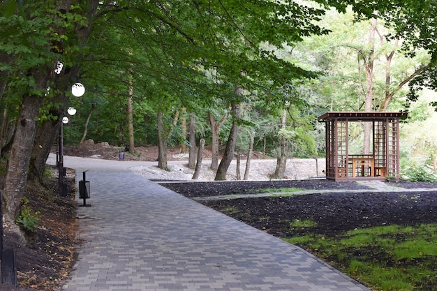 Sommer malerischer Park mit Straße und Straßenlaternen. Weg im grünen Wald der Stadt.