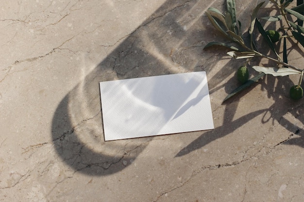 Sommer Mittelmeer Briefpapier Stilleben Leere Visitenkarte Einladung mit dunklem Glas-Cocktail-Drink-Schatten-Overlay Olive Tree Branch Blätter im Sonnenlicht Lange Schatten Beige Marmortisch Hintergrund