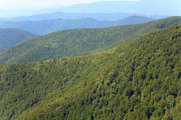 Sommer neblige Berglandschaft mit grünem Wald am Hang (Ukraine, Karpaten)