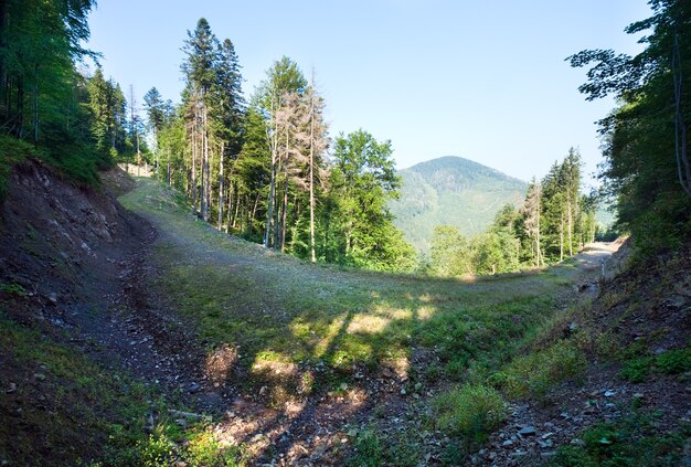 Sommer neblige Berglandschaft mit Wald am Hang und an Landstraße.