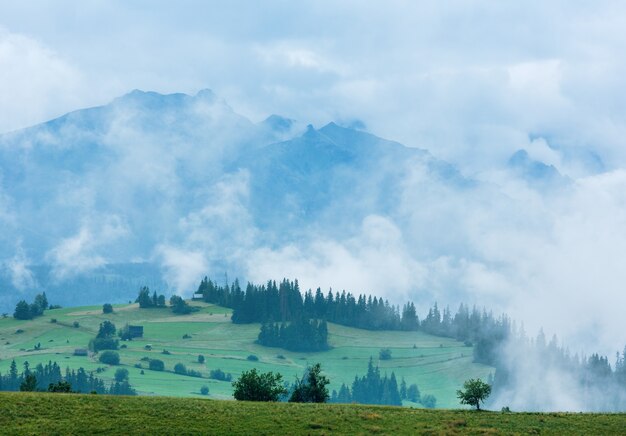 Sommer nebligen Bergdorfrand mit Tatra (Gliczarow Gorny, Polen)