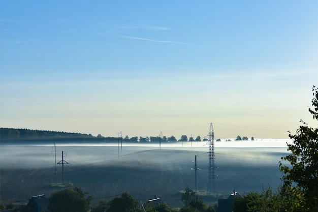 Sommer nebligen Morgen. Die Straße ist im Park. Sonnenaufgang über dem Wald hinter dichtem Nebel