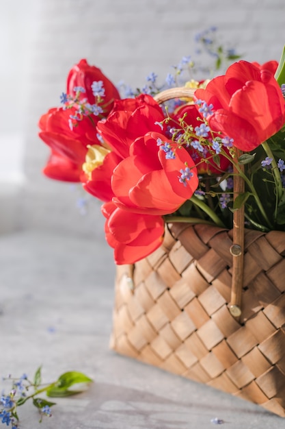 Sommer- oder Frühlingsstrauß aus Narzissen und roten Tulpen in einem Weidenkorb auf einer weißen Oberfläche