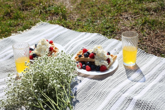 Sommer-Picknick-Einstellung