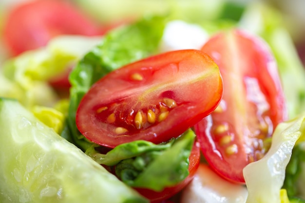 Sommer Salat. Frischer Salat mit Mozzarella. Kopfsalat mit Kirschtomaten, Gurken und Mozzarella.