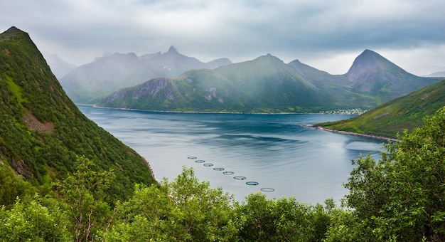 Sommer Senja Fjord Küste Blick in der Nähe von Husoy Inselstadt mit Fischernetzen, Norwegen. Bewölktes bewölktes Wetter.