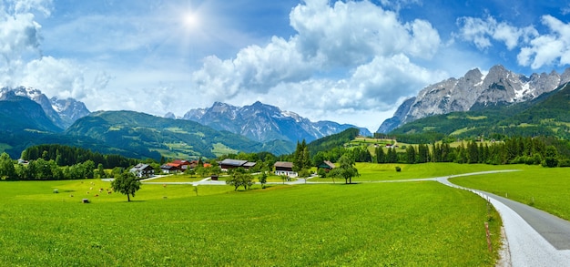 Sommer sonnenscheinendes Alpengebirgslandpanorama mit Graswiese und Straße zum Dorf (Österreich)