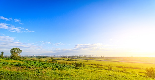 Sommer Sonnige Landschaft auf dem Feld