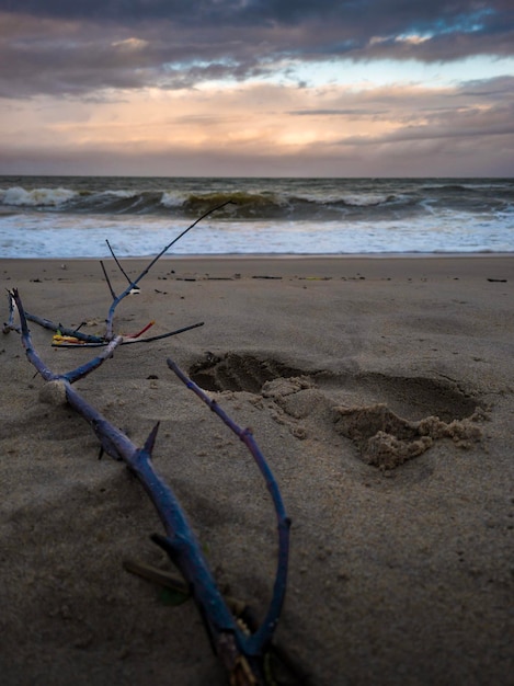 Sommer Strand