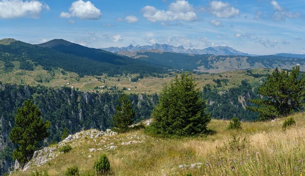 Sommer Tara Canyon im Berg Durmitor National Park Montenegro