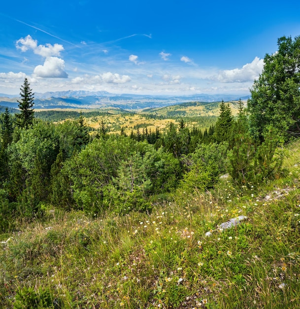 Sommer Tara Canyon im Berg Durmitor National Park Montenegro