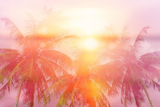 Sommer-Tropik-Hintergrund mit Palmen