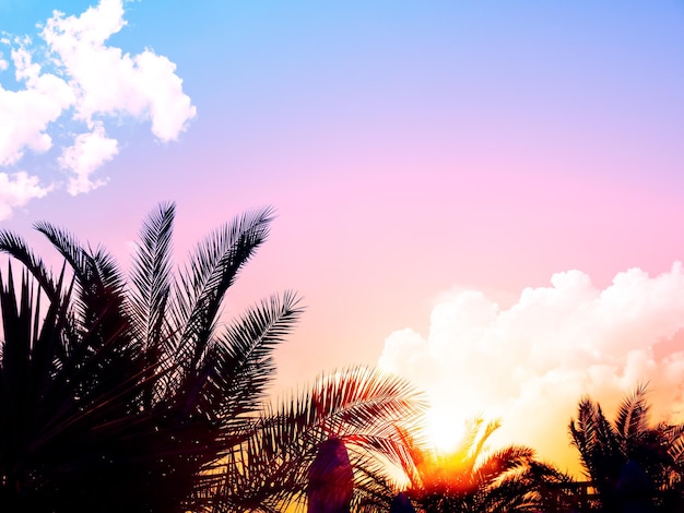 Sommer tropischer Hintergrund mit Palmen Silhouetten Himmel und Surise Schöne Naturlandschaft mit Kopierraum