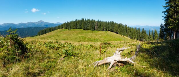 Sommer Tschornohora Gebirgskammpanoramablick vom Vesnjarka-Plateau (Karpaten, Ukraine).