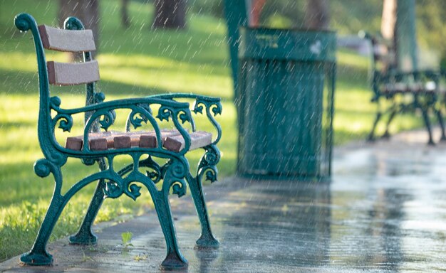 Sommer warmer Regen. Metallbank mit Holzsitzen auf dem Hintergrund eines grünen Parks während des Regens.